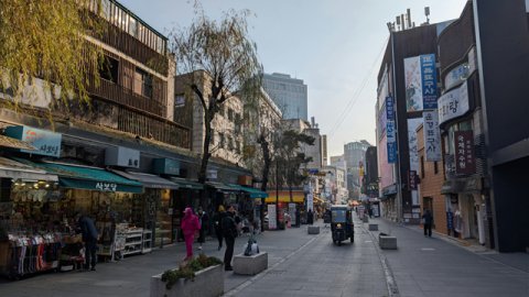 跨境电商独立站实测：宠物背包品类如何用3000美元起建站并跑通欧美市场