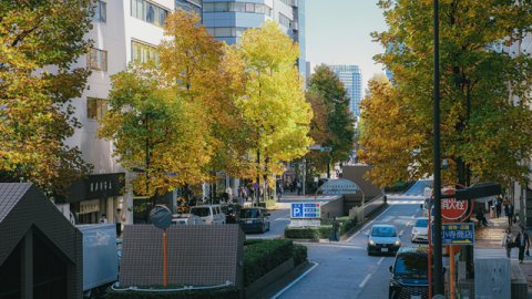 东南亚独立站成本揭秘：从搭建到美国市场推广全攻略